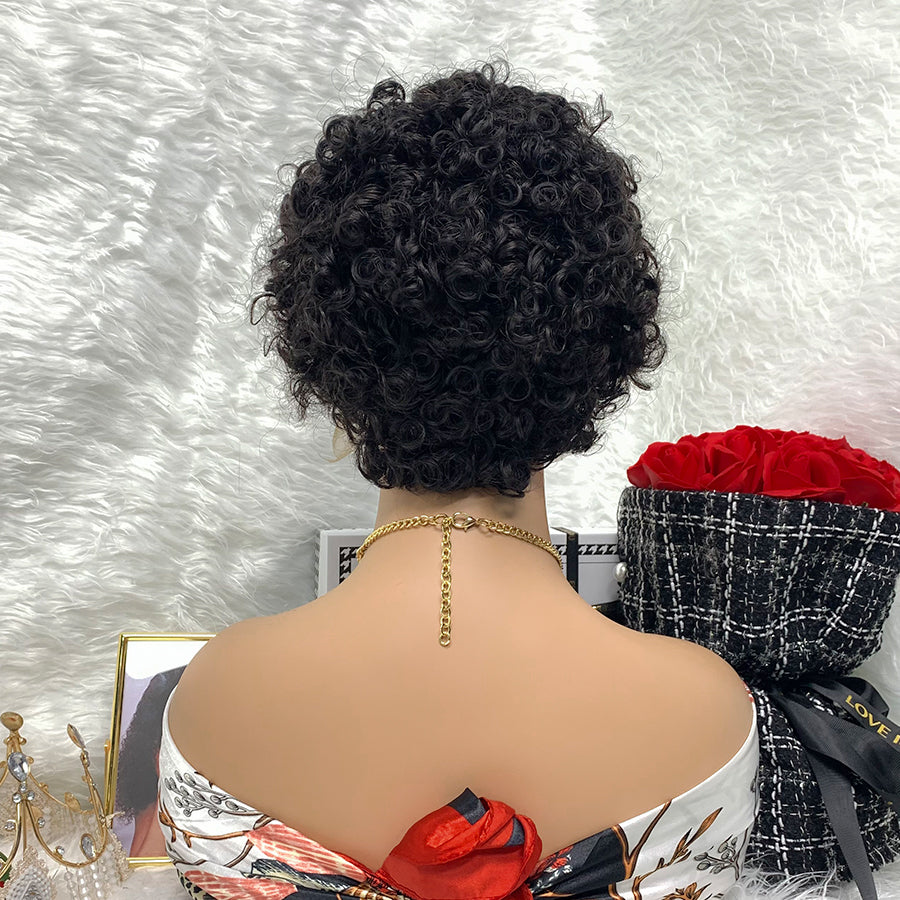 13x1 Brazilian 100% Virgin Hair Pixie Wig Curly Remy Transparent Lace Short Curly Wigs