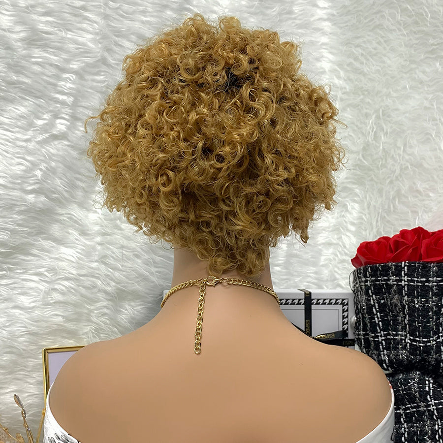 13x1 Brazilian 100% Virgin Hair Pixie Wig Curly Remy Transparent Lace Short Curly Wigs