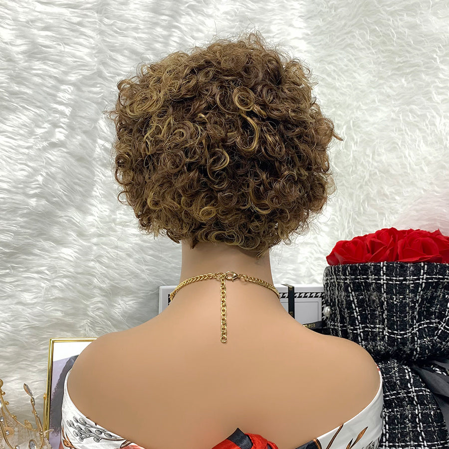 13x1 Brazilian 100% Virgin Hair Pixie Wig Curly Remy Transparent Lace Short Curly Wigs