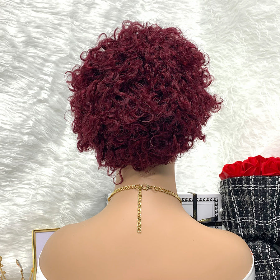 13x1 Brazilian 100% Virgin Hair Pixie Wig Curly  Remy Transparent Lace Short Curly Wigs