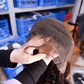 100% Human 13x4 water Lace Frontal Bob wigs head cover